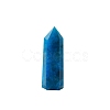 Point Tower Natural Apatite Home Display Decoration PW-WG91959-04-5