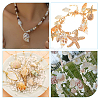 5 Styles Shell Beads SHEL-FH0001-22-7