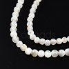 Natural White Shell Bead Strands SSHEL-N003-144A-01-3