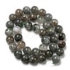 Natural Lodolite Quartz Beads Strands G-R494-A15-04-2