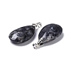 Natural Larvikite Pendants G-D084-01P-B06-3