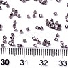 FGB 11/0 Grade A Glass Seed Beads SEED-S030-1204-4