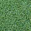 TOHO 11/0 Round Beads X-SEED-TR11-0775-2