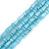 Natural Freshwater Shell Beads Strands SHEL-G013-02C-1