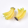Resin Pendants X-RESI-T028-46-3