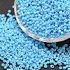 6/0 Glass Seed Beads SEED-J014-F6-43-1