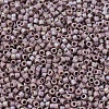 MIYUKI Delica Beads X-SEED-J020-DB2321-3