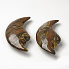 Natural Tiger Eye Beads G-T132-020-2