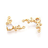 Brass Micro Pave Cubic Zirconia Pendants KK-N263-01G-2