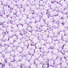 8/0 Opaque Glass Seed Beads X1-SEED-S048-N-014-3