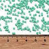 Baking Paint Glass Seed Beads X-SEED-S042-05B-60-4