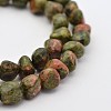 Natural Unakite Bead Strands G-P070-25-1