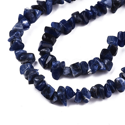 Natural Sodalite Beads Strands G-S364-080-1