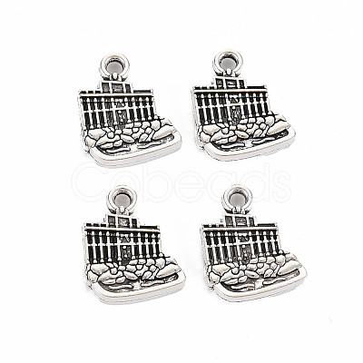 Tibetan Style Alloy Charms LS-TIBEP-N011-016-1