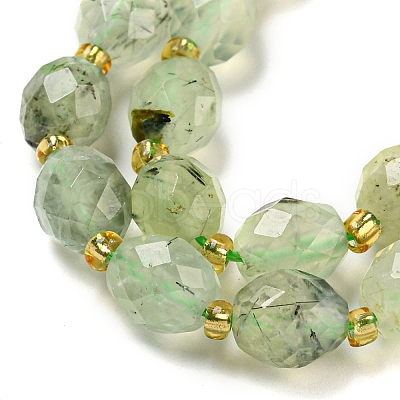 Natural Prehnite Beads Strands G-N342-58-1