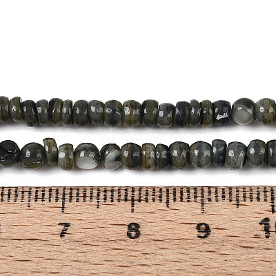 Natural Freshwater Shell Dyed Beads Strands SHEL-T020-29A-1