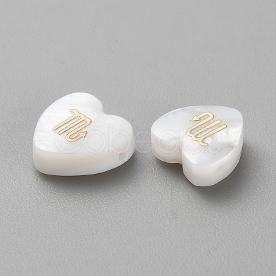 5Pcs Natural White Shell Beads LS-BSHE-TAC0004-02J-1