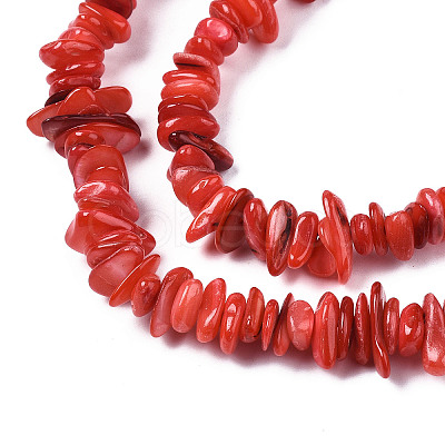 Natural Freshwater Shell Beads Strands X-SHEL-S278-071A-1