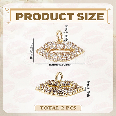 2Pcs Brass Micro Pave Grade AAA Cubic Zirconia Charms ZIRC-LP0001-22-1
