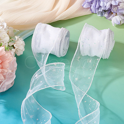 Polyester Deco Mesh Ribbons OCOR-TAC0024-004E-1