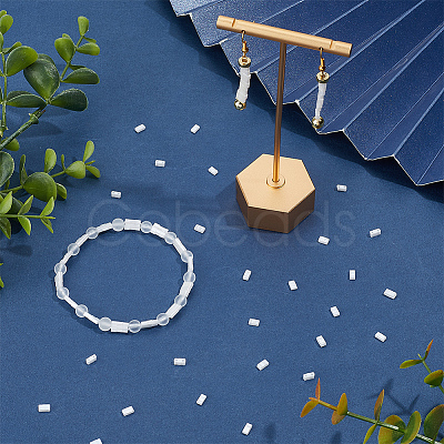240Pcs 2-Hole Opaque Glass Seed Beads SEED-SC0001-62B-1