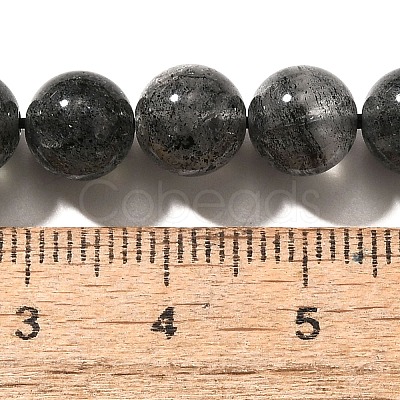 Natural Biotite Beads Strands G-F784-A03-02-1