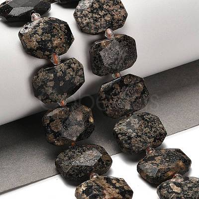 Natural Snowflake Obsidian Beads Strands G-H078-B22-01-1