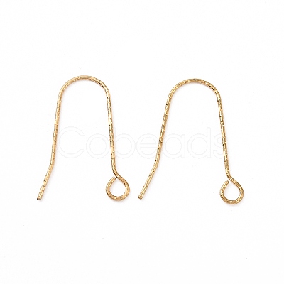 Ion Plating(IP) 316 Stainless Steel Earring Hooks STAS-C059-10G-1