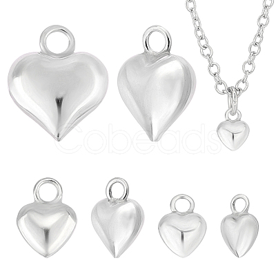 6Pcs 3 Style 925 Sterling Silver Charms STER-PH0001-84-1
