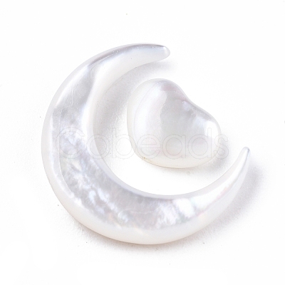 Natural White Shell Beads Sets SSHEL-N032-52B-02-1
