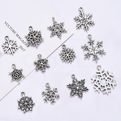 Tibetan Style Alloy Big Pendants TIBE-CJ0001-04-1