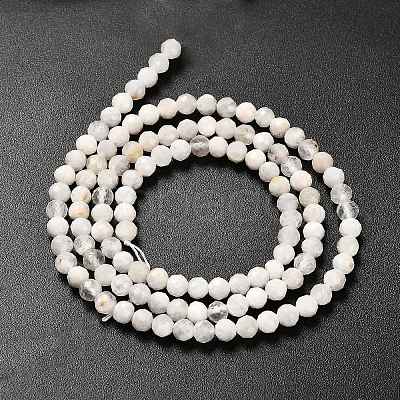 Natural Rainbow Moonstone Beads Strands G-RM2025-31-3mm-1