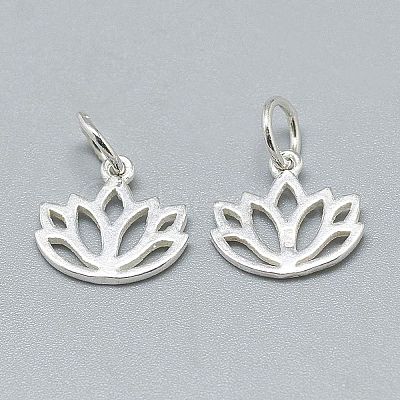 20Pcs 925 Sterling Silver Charms STER-CA0001-10-1