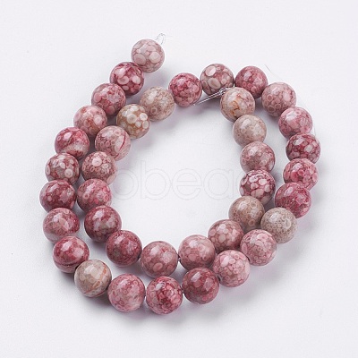 Natural Fossil Coral Beads Strands G-F563-01-10mm-1