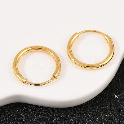 925 Sterling Silver Hoop Earrings STER-B008-01A-G-1