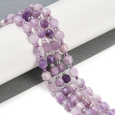 Natural Lepidolite Beads Strands G-O201B-108E-1