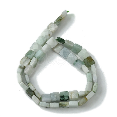 Natural Myanmar Jadeite Beads Strands G-A092-C01-01-1