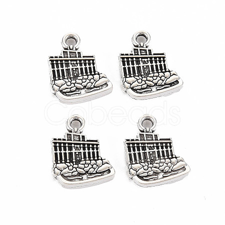 Tibetan Style Alloy Charms LS-TIBEP-N011-016-1