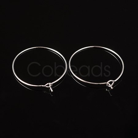 Silver Color Plated Brass Earring Hoops X-EC067-2S-1