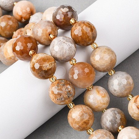 Natural Fossil Coral Beads Strands G-C249-A27-16MM-1