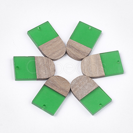 Resin & Walnut Wood Pendants RESI-S358-34E-1