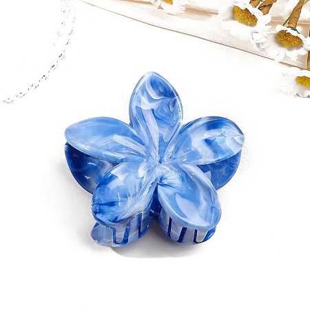 Resin Claw Hair Clips PW-WG0E0E6-11-1