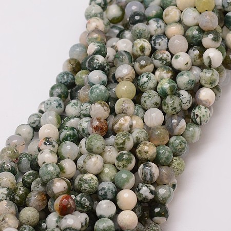 Natural Tree Agate Bead Strands G-G882-6mm-E02-1