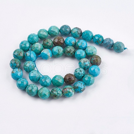 Dyed & Heated Natural Magnesite Beads Strands TURQ-F010-11-10mm-1