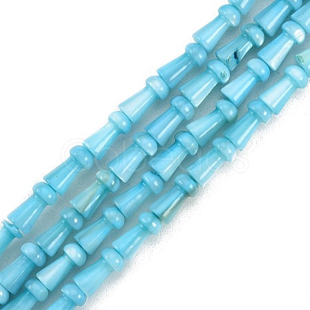 Natural Freshwater Shell Beads Strands SHEL-G013-02C-1