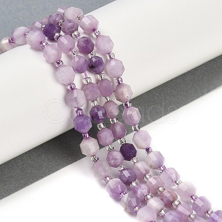 Natural Lepidolite Beads Strands G-O201B-108E-1