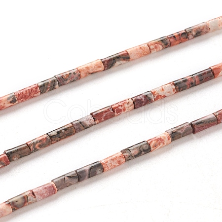 Natural Leopard Skin Jasper Beads Strands G-G783-17-1
