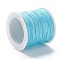 Braided Nylon Thread, DIY Material for Jewelry Making, Sky Blue, 0.8mm, 100yards/roll