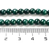 Natural Malachite Beads Strands G-I001-4mm-01-2