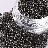 8/0 Glass Seed Beads X2-SEED-A005-3mm-52-1